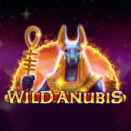 Wild Anubis