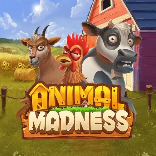 Animal Madness