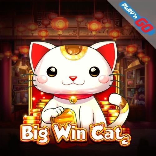 Big Win Cat